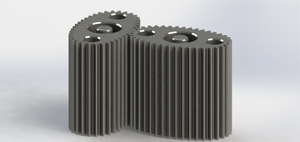 Stainless Steel Oval Gear